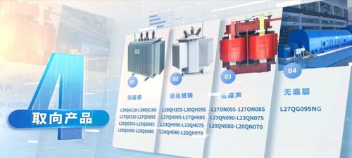 綠色心動力，漣接新未來——漣鋼硅鋼產(chǎn)品推介會暨技術(shù)開發(fā)交流